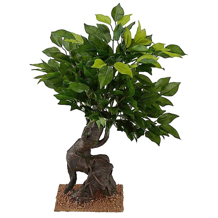 Quercia di h 40,5 cm per Presepe