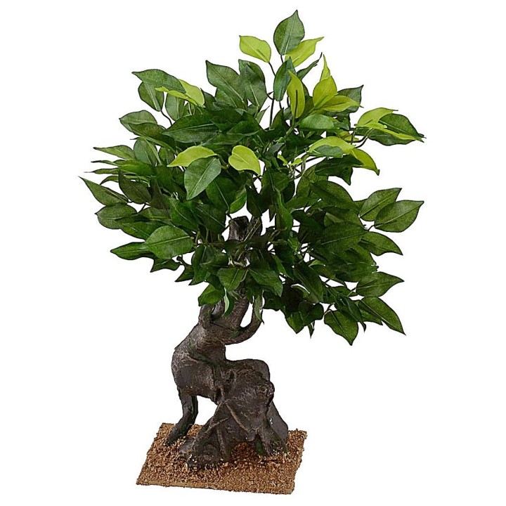 Roble de 40,5 cm de altura para Belén.