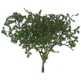 "Branches with green leaves 25 g"
