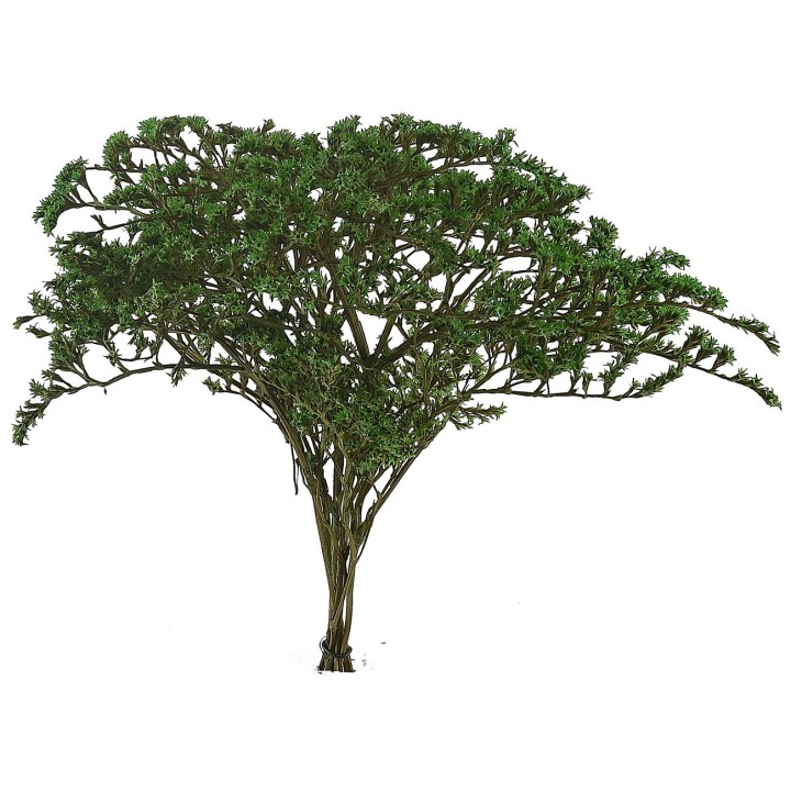 Ramas con hojas verdes 25 gr