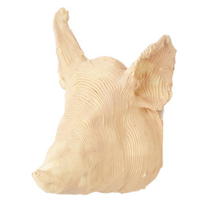 Testa di maiale 2,5 cm