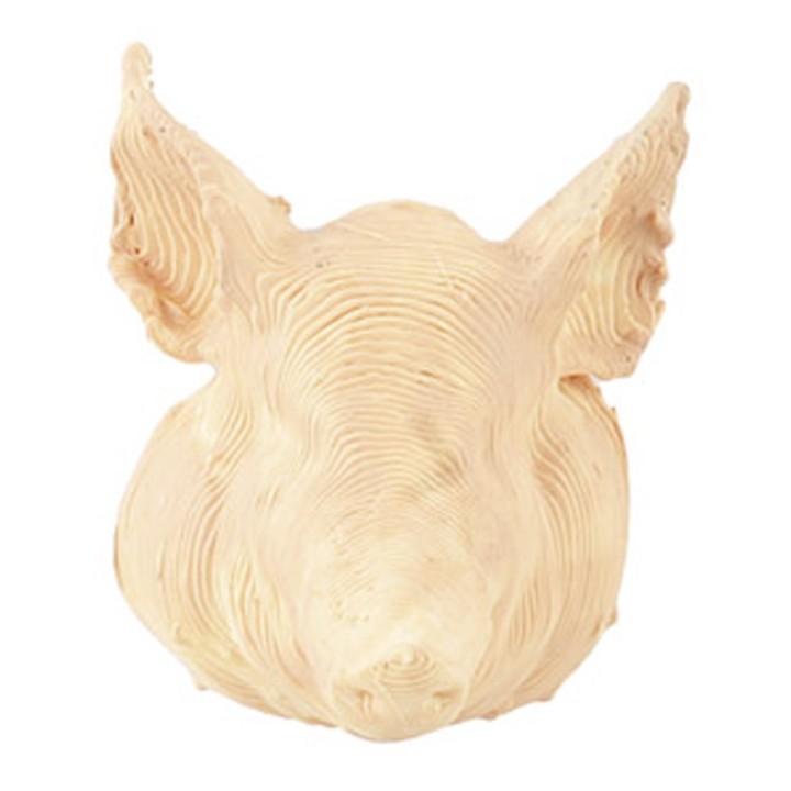 Cabeza de cerdo 2,5 cm