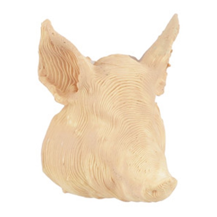 Cabeza de cerdo 2,5 cm
