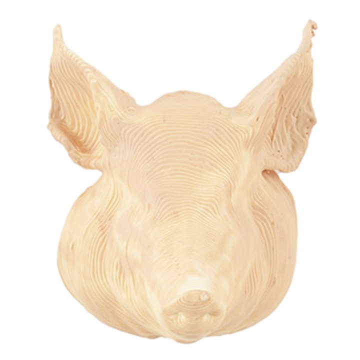 Cabeza de cerdo 3 cm