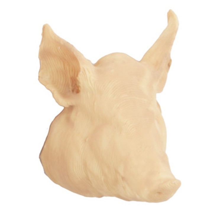Cabeza de cerdo 4 cm