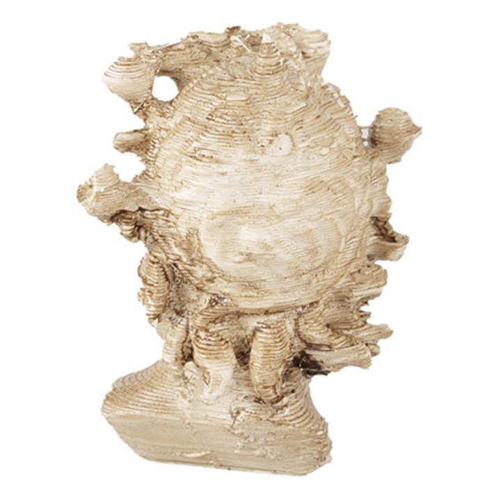 Head of faun from Pompeii 3 cm