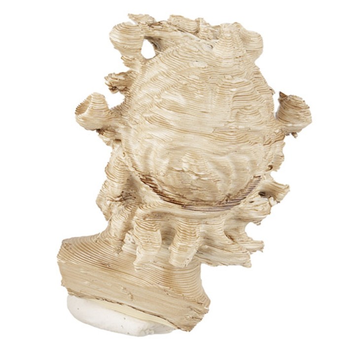 Testa fauno di Pompei 3,5 cm