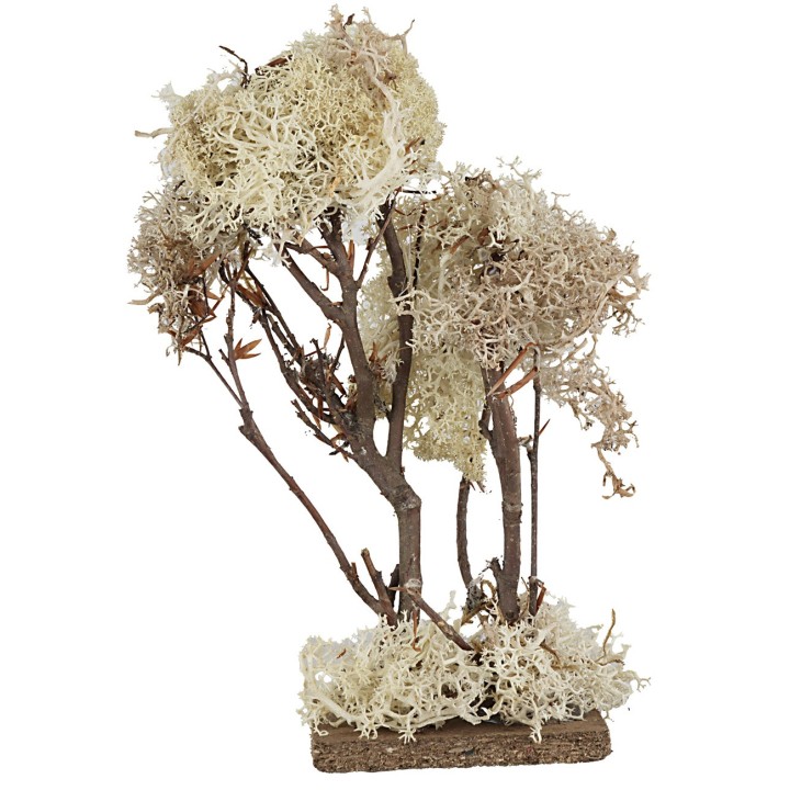 Árbol doble en liquen otoñal cm 20 h