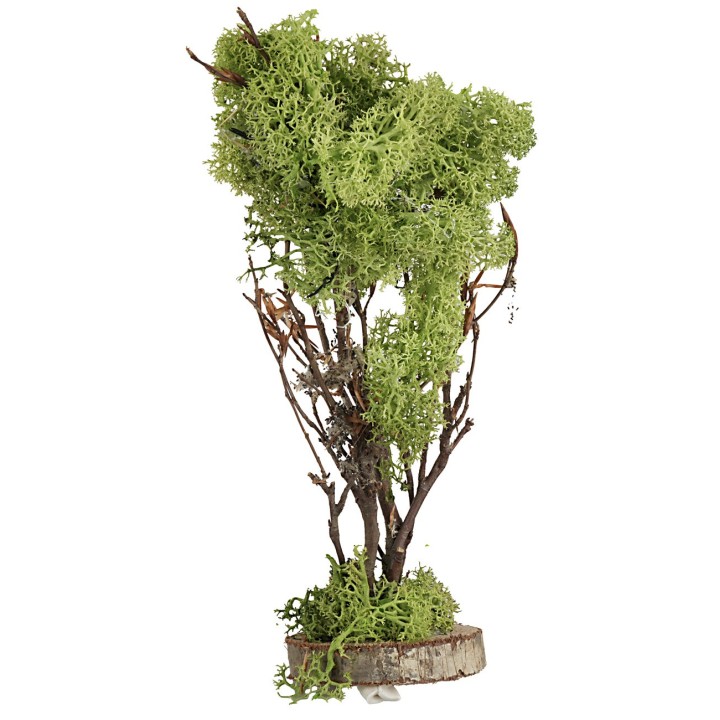 Green lichen tree 20 cm high