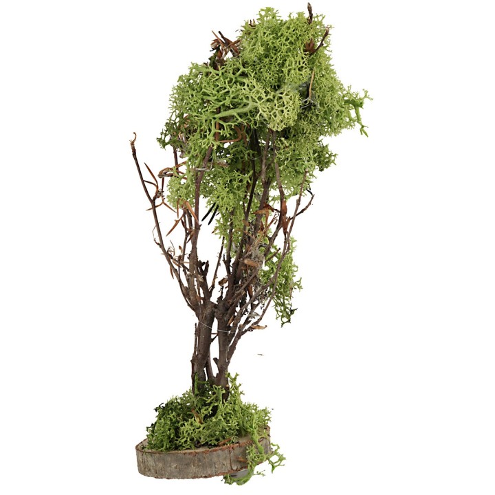 Albero in lichene verde cm 20 h