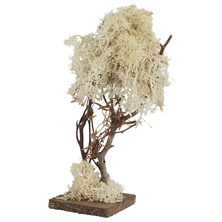Tree with square base in autumn lichen 20 cm h