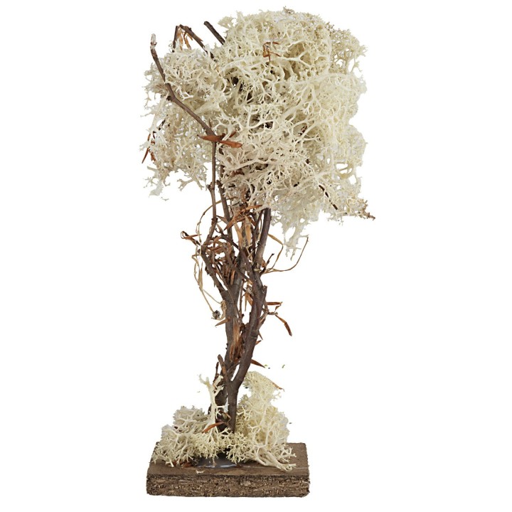 Albero a base quadrata in lichene autunnale cm 20 h