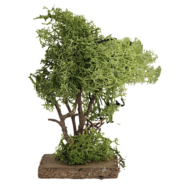 Green lichen tree cm 14 h