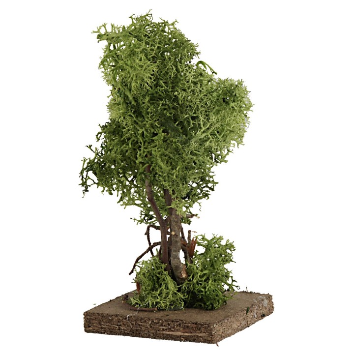 Albero in lichene verde cm 14 h