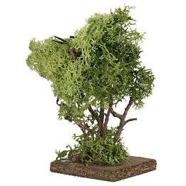 Albero in lichene verde cm 14 h