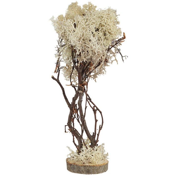 Tree with round base in autumn lichen 23 cm h