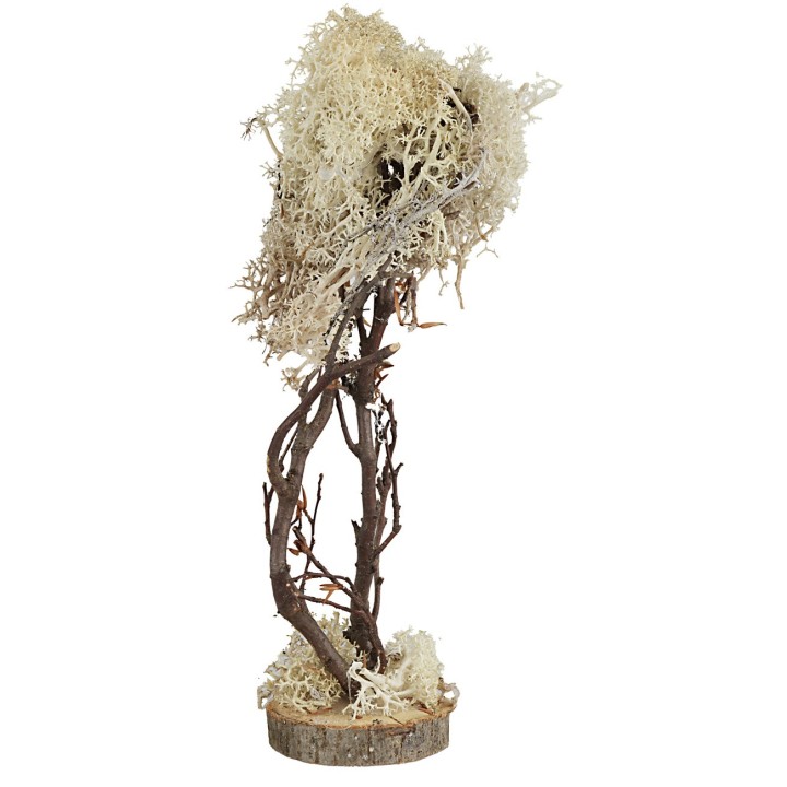Árbol con base redonda en liquen otoñal de 23 cm de altura.