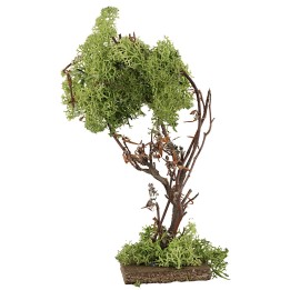 Green lichen tree 18.5 cm h