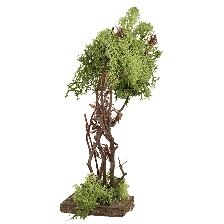 Green lichen tree 18.5 cm h
