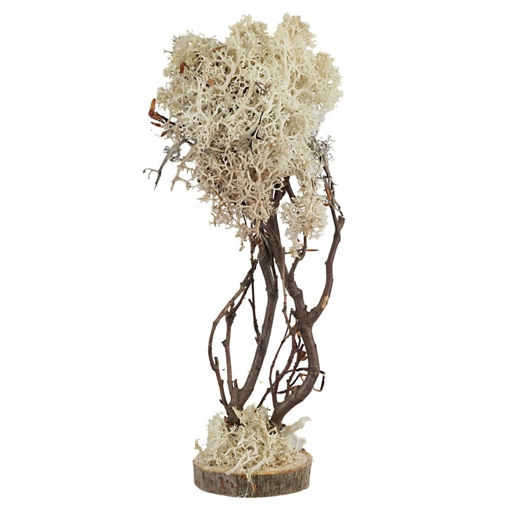 Albero a base quadrata in lichene autunnale cm 15h