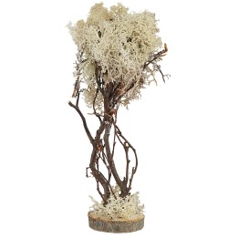 Tree with square base in autumn lichen 15 cm high
