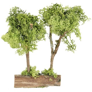 Green trees on green lichen trunk, 20 cm high