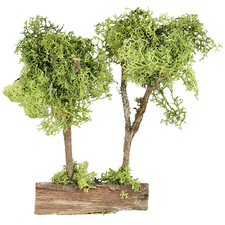 Alberi verdi su tronco in lichene verde cm 20 h