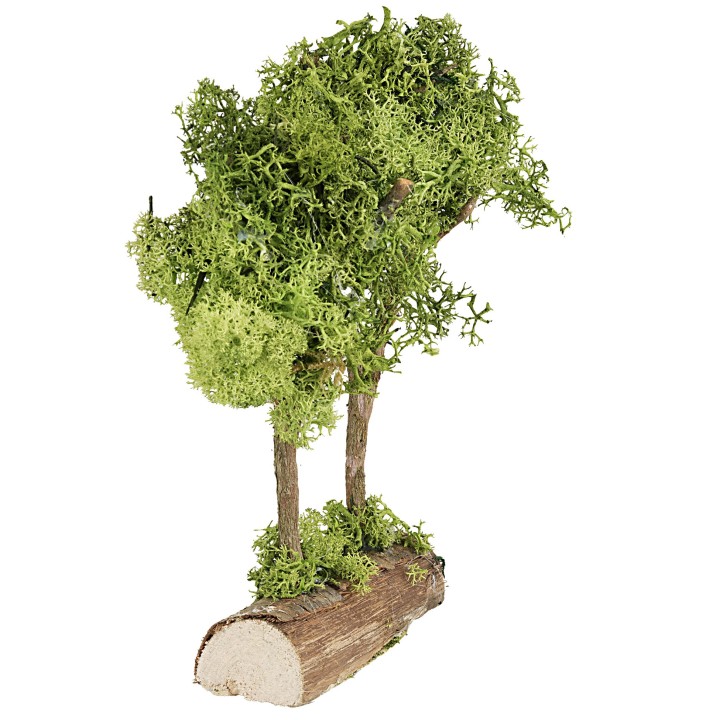 Alberi verdi su tronco in lichene verde cm 20 h