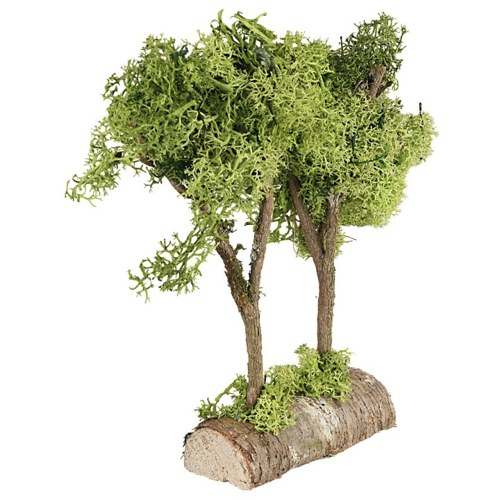 Árboles verdes sobre tronco en liquen verde de 20 cm de altura