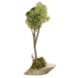 Árbol de liquen verde de 20 cm de altura