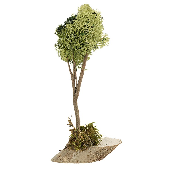 Árbol de liquen verde de 20 cm de altura
