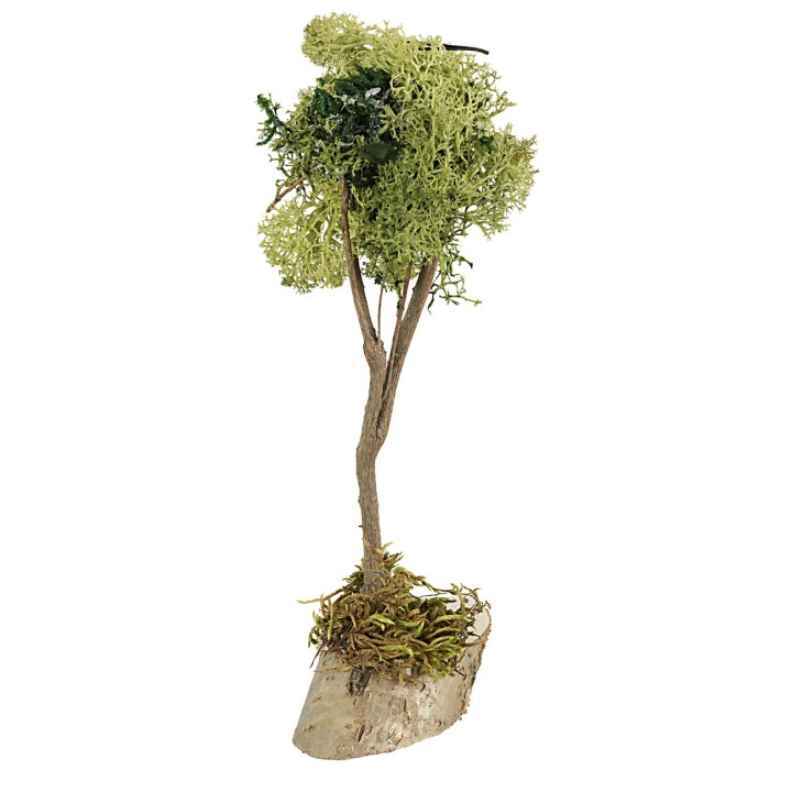 Green lichen tree 20 cm h