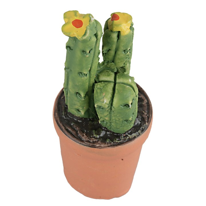 Vase with succulent in various colors 4 cm high