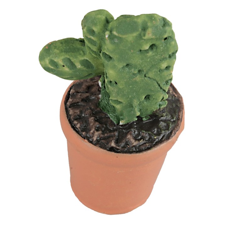 Vaso con planta suculenta en varios colores cm 4h