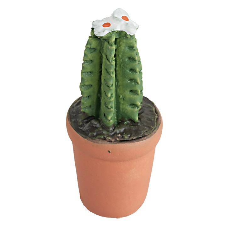 Vase with succulent in various colors 4 cm high