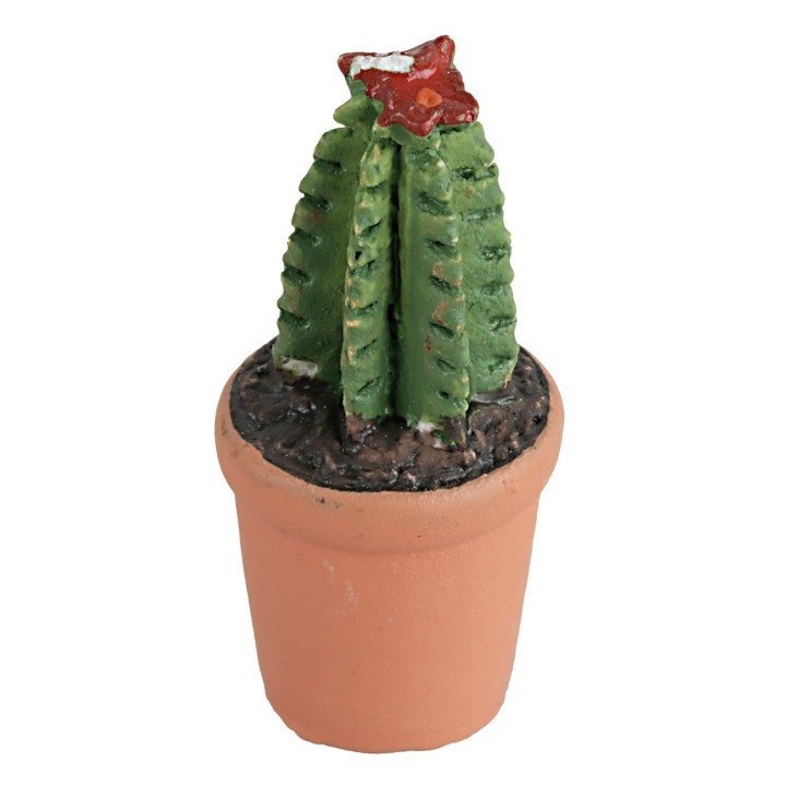Vase with succulent in various colors 4 cm high