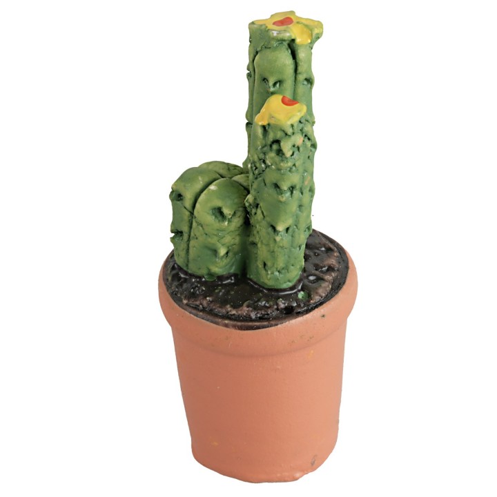 Vase with succulent in various colors 4 cm high