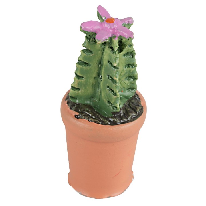Vase with succulent in various colors 4 cm high