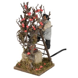 Recogedor de manzanas en movimiento 12 cm