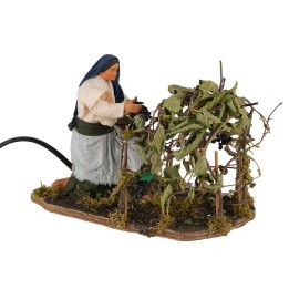Woman picking grapes 15 cm in motion