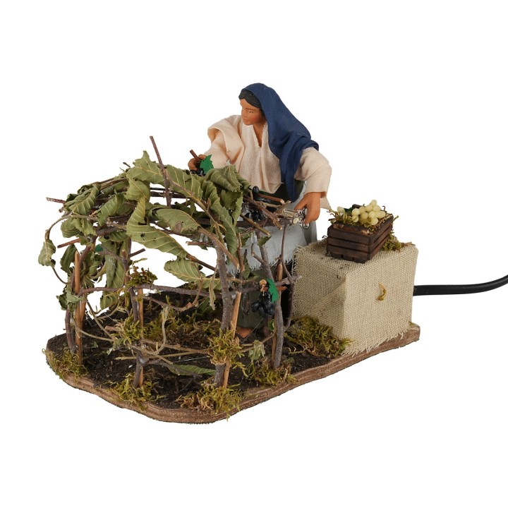 Woman picking grapes 15 cm in motion