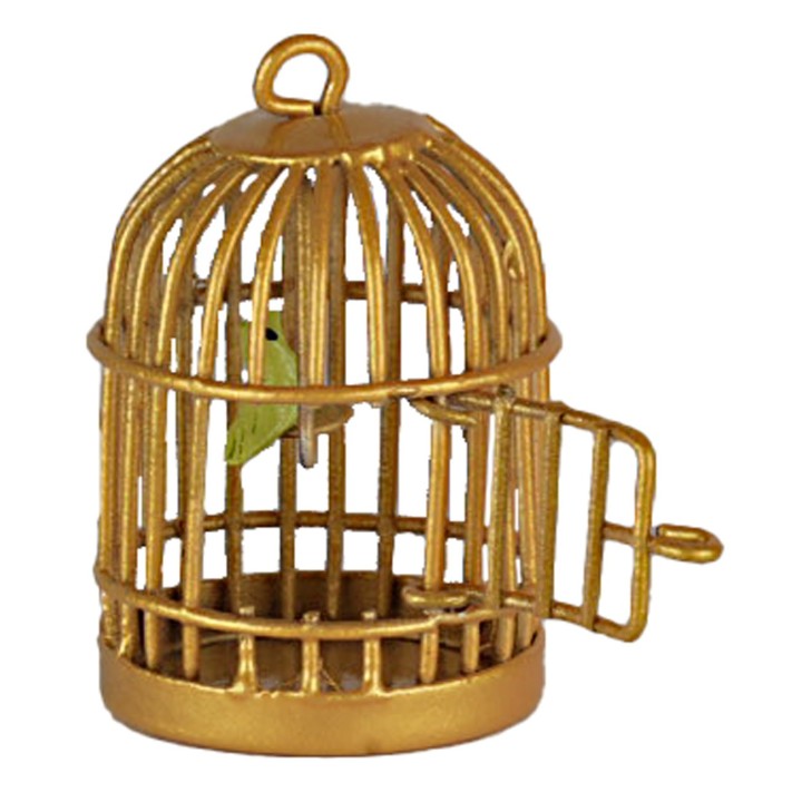 Birdcage with little bird cm 4 h