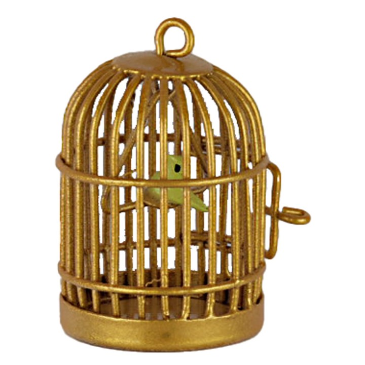 Birdcage with little bird cm 4 h