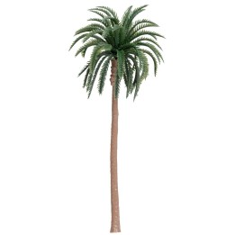 Grafted palm 17.5 cm