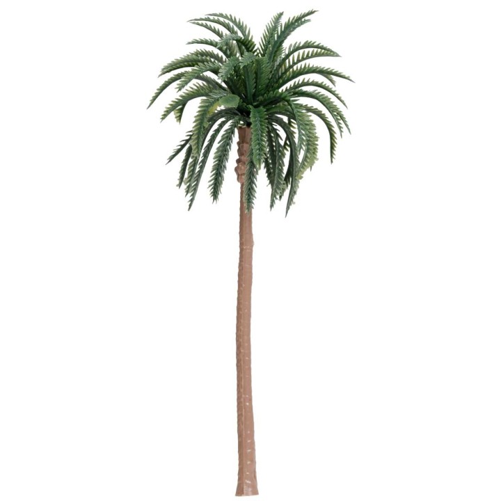 Palmera de injerto 17.5 cm