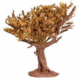 Árbol con copa otoñal cm 12 h
