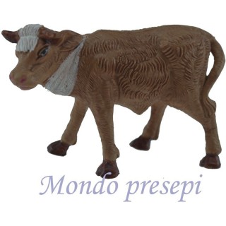 Buey medio cm 8