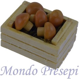 Caja de 3,5 cm con dos listones con hongos