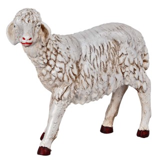 Oveja cabeza alta para estatuas de 53 cm Euromarchi para