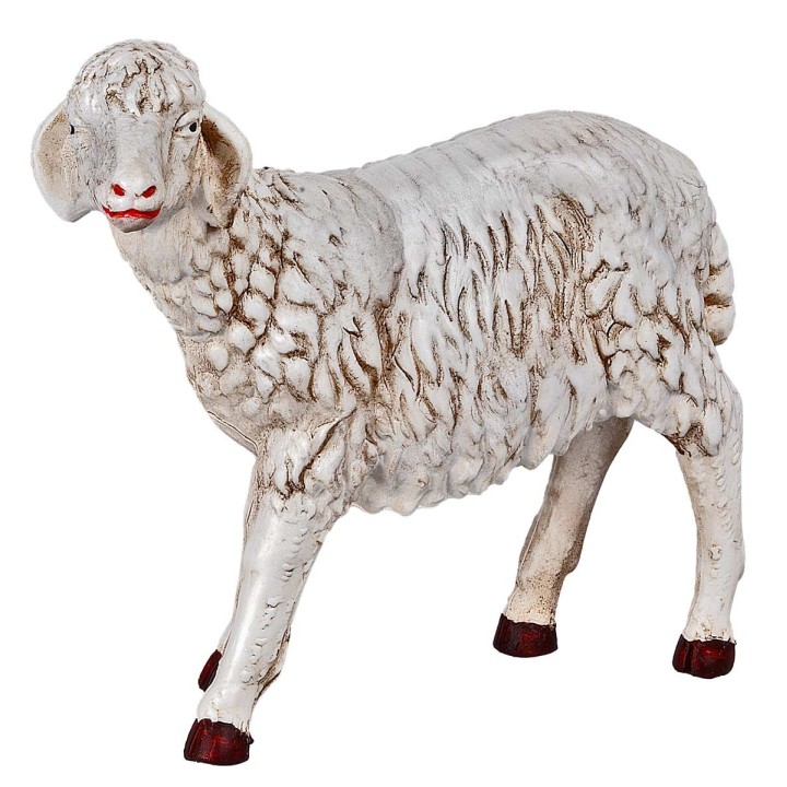 Sheep with head held high for 53 cm Euromarchi outdoor statues